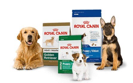 Centro veterinario Estrella de Mar perros y alimento Royal Canin
